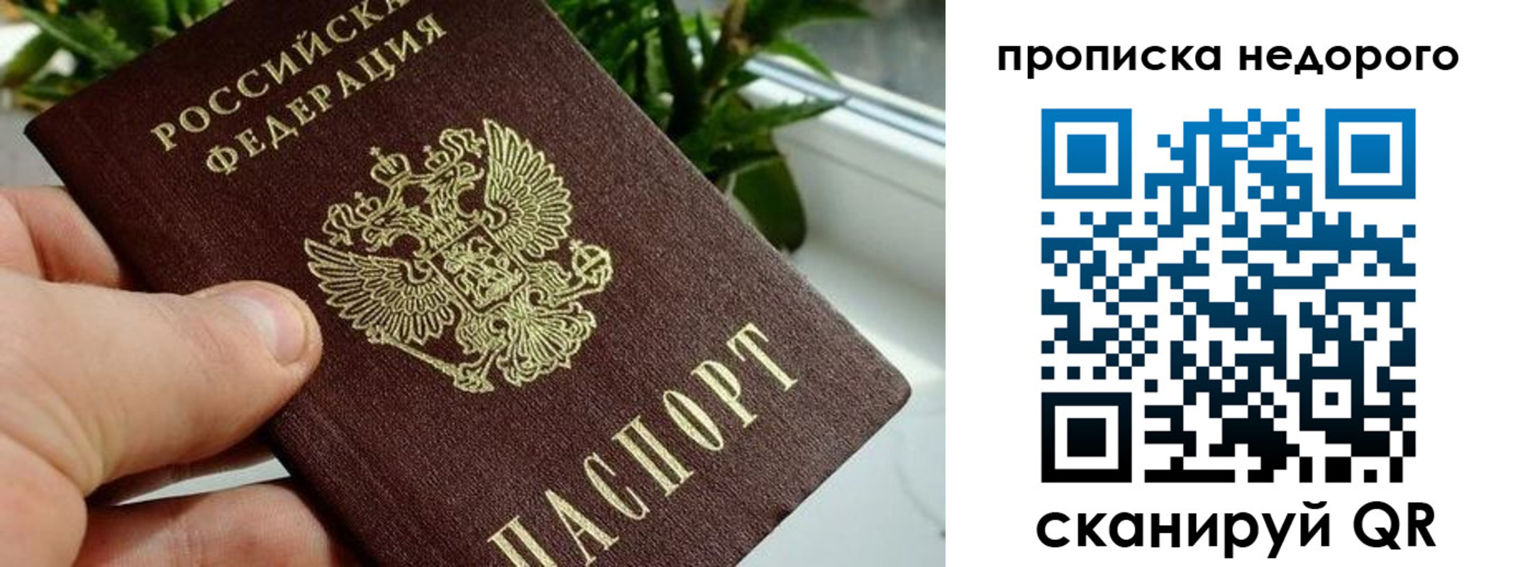 прописка для кредита в Тайге